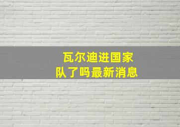 瓦尔迪进国家队了吗最新消息