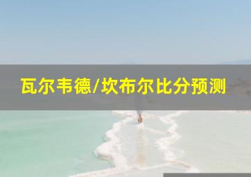 瓦尔韦德/坎布尔比分预测