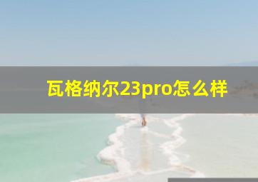 瓦格纳尔23pro怎么样