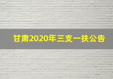 甘肃2020年三支一扶公告