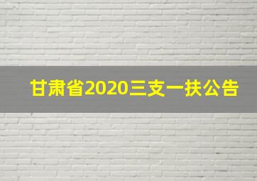 甘肃省2020三支一扶公告