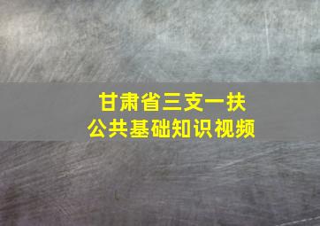 甘肃省三支一扶公共基础知识视频