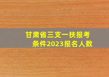 甘肃省三支一扶报考条件2023报名人数