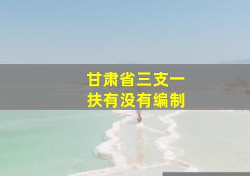 甘肃省三支一扶有没有编制