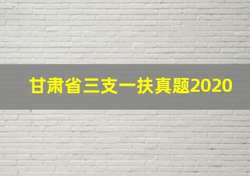 甘肃省三支一扶真题2020