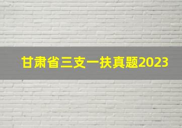 甘肃省三支一扶真题2023