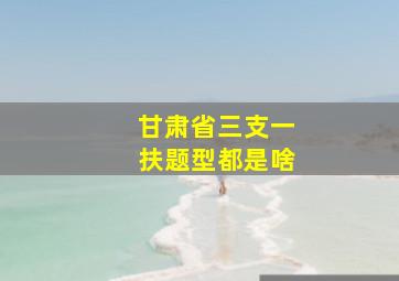 甘肃省三支一扶题型都是啥