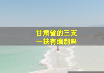 甘肃省的三支一扶有编制吗