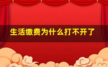 生活缴费为什么打不开了