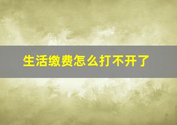 生活缴费怎么打不开了