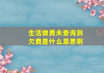 生活缴费未查询到欠费是什么意思啊