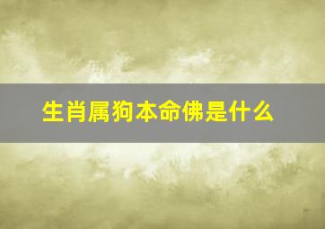 生肖属狗本命佛是什么