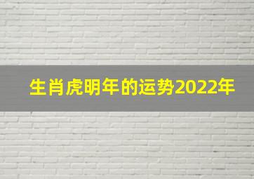 生肖虎明年的运势2022年