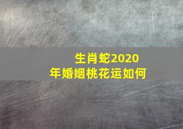 生肖蛇2020年婚姻桃花运如何