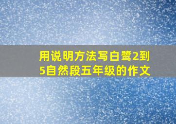 用说明方法写白鹭2到5自然段五年级的作文