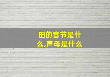 田的音节是什么,声母是什么