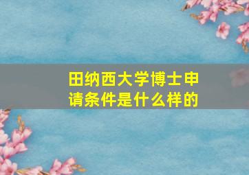 田纳西大学博士申请条件是什么样的