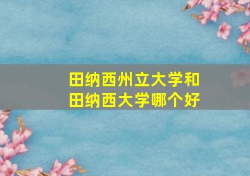 田纳西州立大学和田纳西大学哪个好