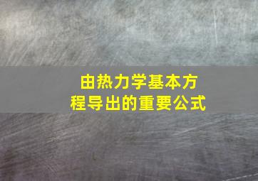 由热力学基本方程导出的重要公式