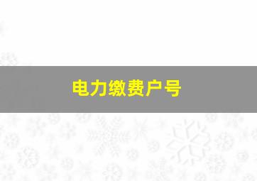 电力缴费户号