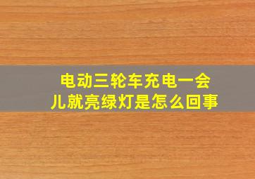 电动三轮车充电一会儿就亮绿灯是怎么回事