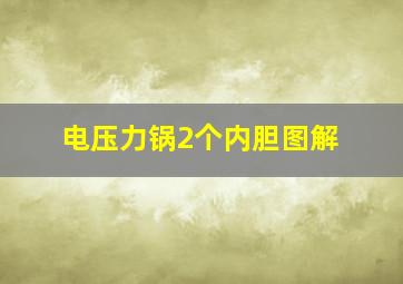 电压力锅2个内胆图解