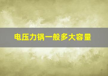 电压力锅一般多大容量