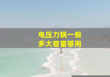 电压力锅一般多大容量够用