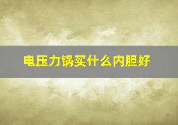 电压力锅买什么内胆好