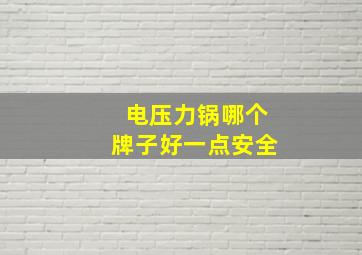 电压力锅哪个牌子好一点安全