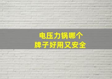 电压力锅哪个牌子好用又安全