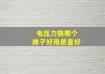 电压力锅哪个牌子好用质量好