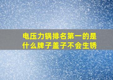 电压力锅排名第一的是什么牌子盖子不会生锈