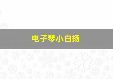 电子琴小白扬