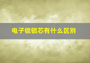 电子锁锁芯有什么区别