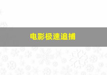 电影极速追捕