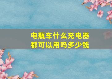 电瓶车什么充电器都可以用吗多少钱