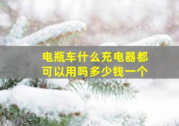 电瓶车什么充电器都可以用吗多少钱一个