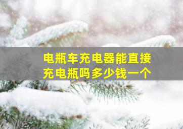 电瓶车充电器能直接充电瓶吗多少钱一个