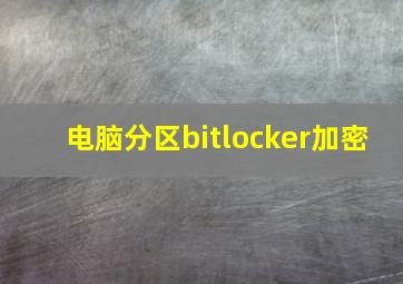 电脑分区bitlocker加密