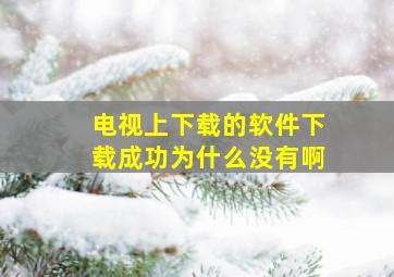 电视上下载的软件下载成功为什么没有啊