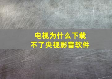 电视为什么下载不了央视影音软件