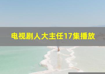 电视剧人大主任17集播放