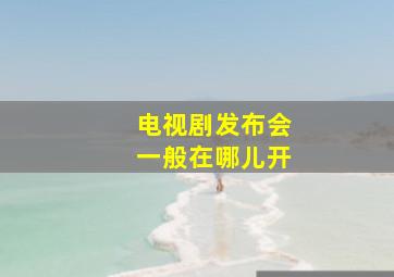 电视剧发布会一般在哪儿开