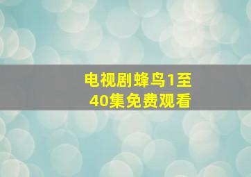 电视剧蜂鸟1至40集免费观看