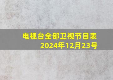 电视台全部卫视节目表2024年12月23号