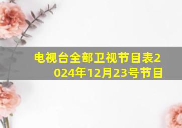 电视台全部卫视节目表2024年12月23号节目