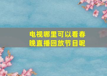 电视哪里可以看春晚直播回放节目呢