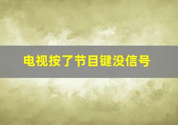 电视按了节目键没信号