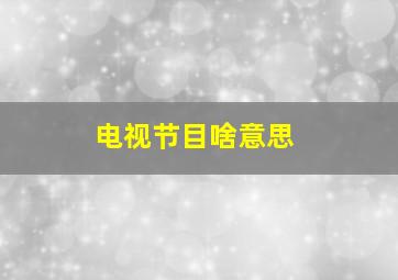 电视节目啥意思